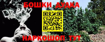 спайс Кандалакша