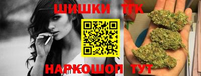 индика Камышлов